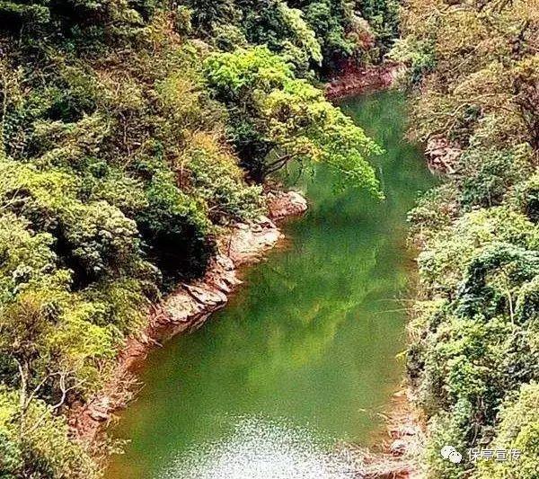 竞技宝登录